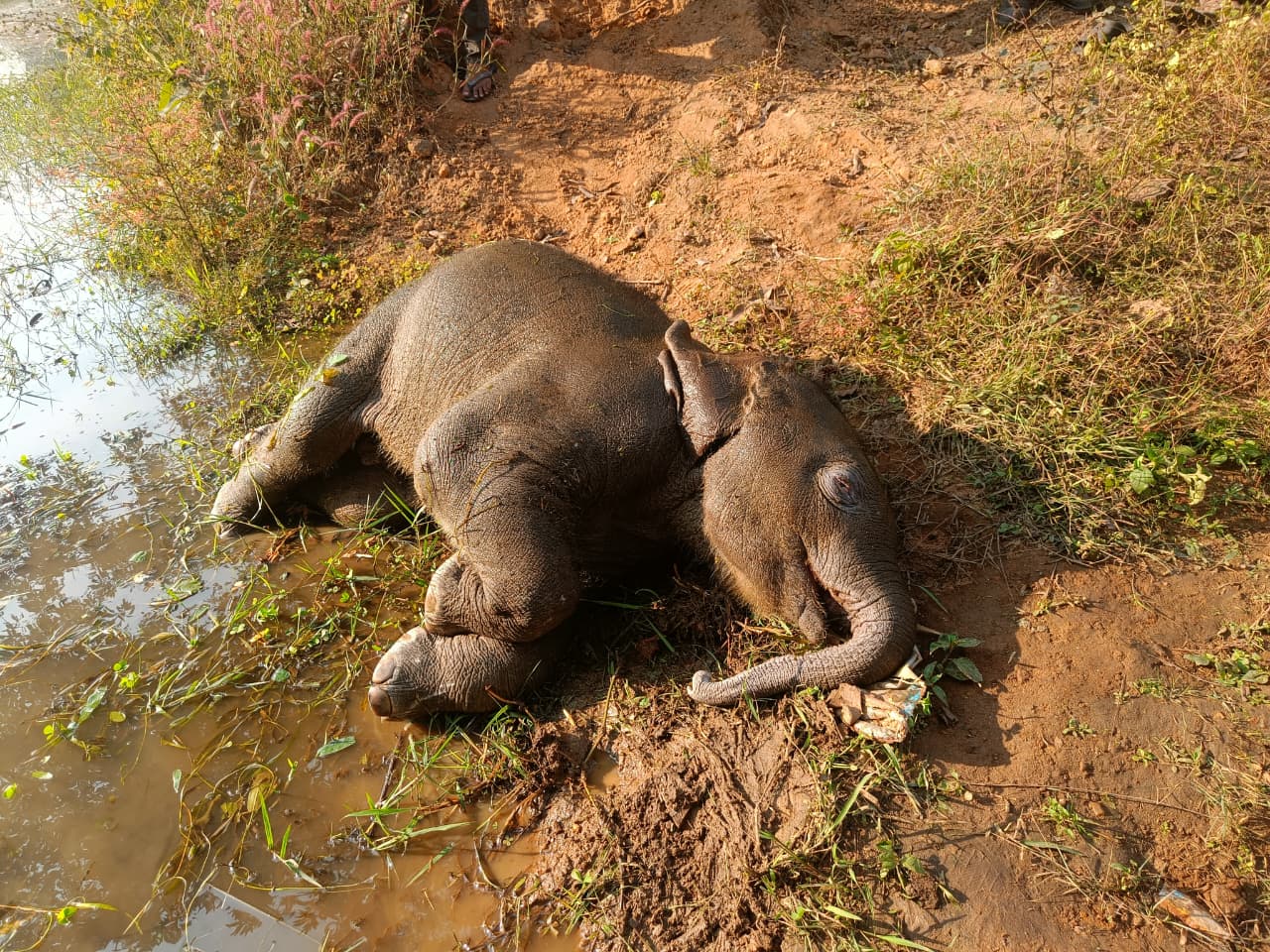 1764080454_8070455c85a22bb2dd5e