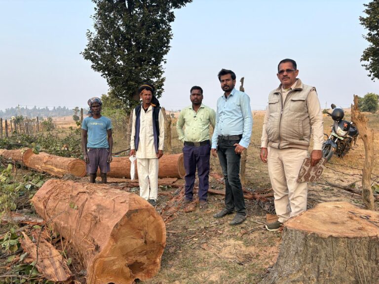 b4e8ac08-aec7-45d7-8f9e-ed5fd2205701