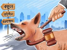 c943f390-8fab-474c-b006-8c3f49475a7d