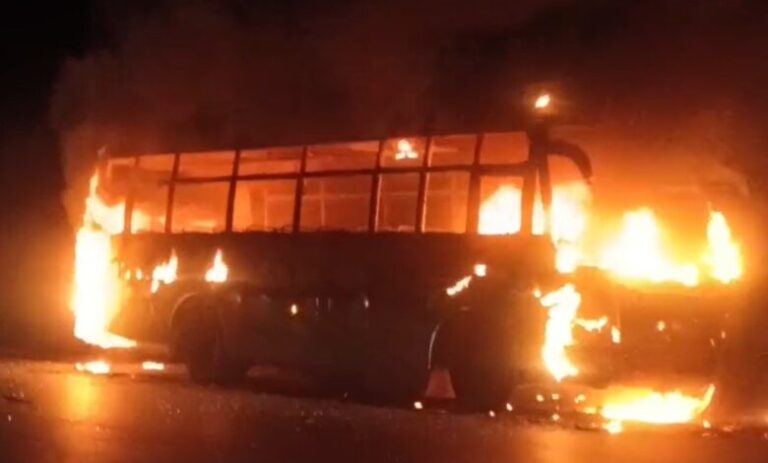 BUS