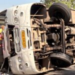 bus palati 00