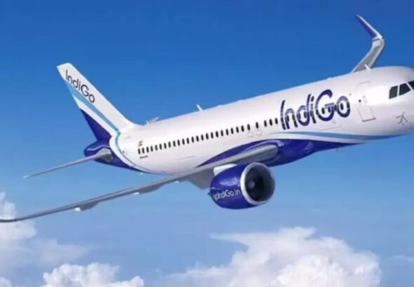indigo
