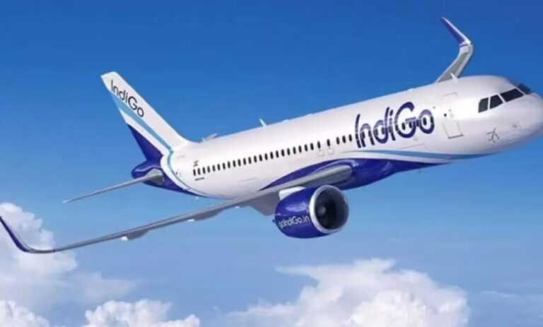 indigo