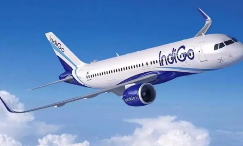 indigo
