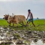 KISSAN