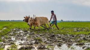 KISSAN