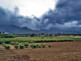 MONSOON 00