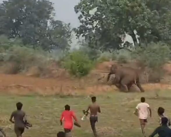 PHATAKA