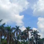 WEATHER 00