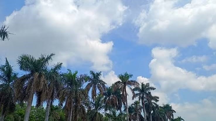 WEATHER 00