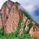 gaurlata