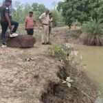 sargi
